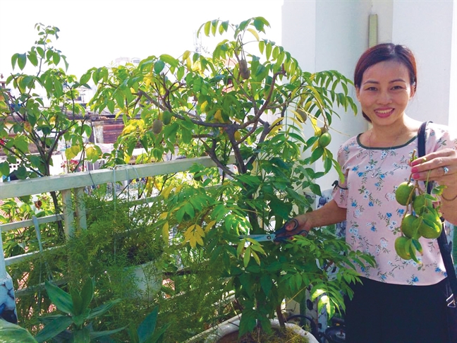 Mỗi nhà là một mảng xanh Moi nha la mot mang xanh