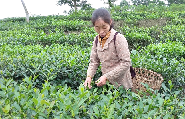 Chuyện ‘bánh đúc có xương’ về người phụ nữ chăm nuôi 8 con riêng của chồng Chuyen ‘banh duc co xuong’ ve nguoi phu nu cham nuoi 8 con rieng cua chong