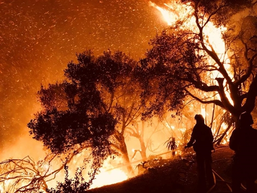 Cháy rừng bùng phát mạnh, dân California đón Giáng sinh với 'giặc lửa' Chay rung bung phat manh, dan California don Giang sinh voi 'giac lua'
