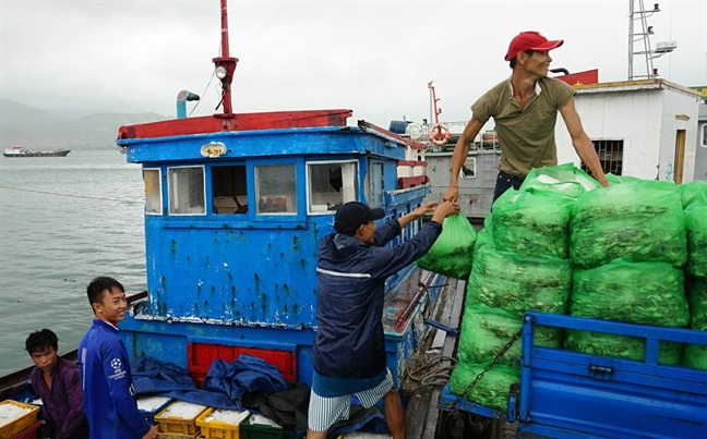 Thủ tướng phát công điện khẩn chủ động đối phó bão Tembin Thu tuong phat cong dien khan chu dong doi pho bao Tembin