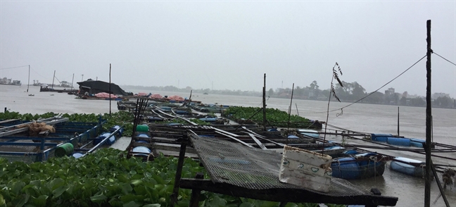 Chợ miền Tây tranh thủ bán hết mẻ cá cuối trước khi bão Tembin đổ bộ Cho mien Tay tranh thu ban het me ca cuoi truoc khi bao Tembin do bo