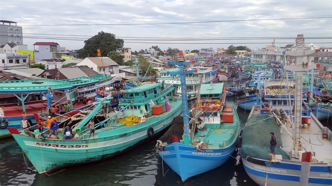 Chợ miền Tây tranh thủ bán hết mẻ cá cuối trước khi bão Tembin đổ bộ Cho mien Tay tranh thu ban het me ca cuoi truoc khi bao Tembin do bo
