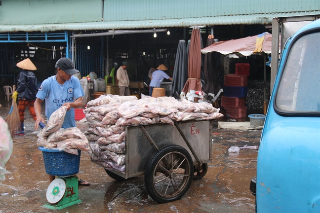 Chợ miền Tây tranh thủ bán hết mẻ cá cuối trước khi bão Tembin đổ bộ Cho mien Tay tranh thu ban het me ca cuoi truoc khi bao Tembin do bo