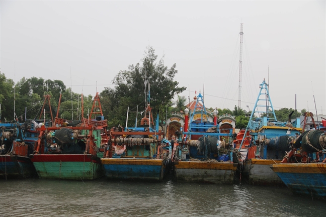Chợ miền Tây tranh thủ bán hết mẻ cá cuối trước khi bão Tembin đổ bộ Cho mien Tay tranh thu ban het me ca cuoi truoc khi bao Tembin do bo