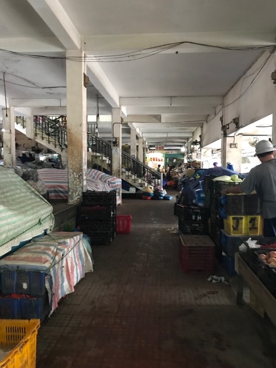 Thở gấp theo từng giờ bão lên Tho gap theo tung gio bao len