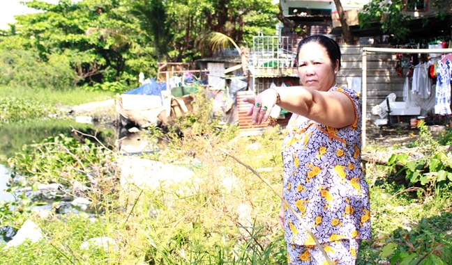 Video: Cư dân rạch Lăng khốn khổ vì muỗi Video: Cu dan rach Lang khon kho vi muoi