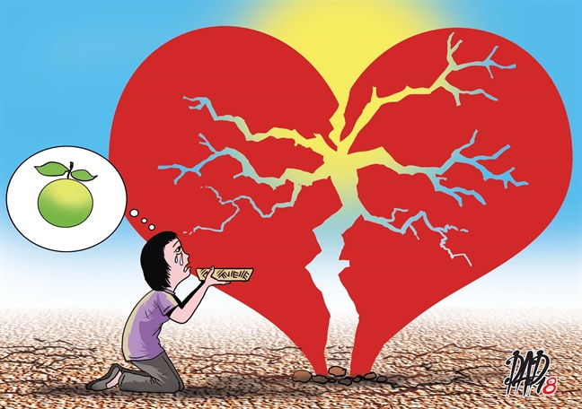 Gần 50 tuổi rồi, ly hôn, tôi phải làm lại ra sao? Gan 50 tuoi roi, ly hon, toi phai lam lai ra sao?
