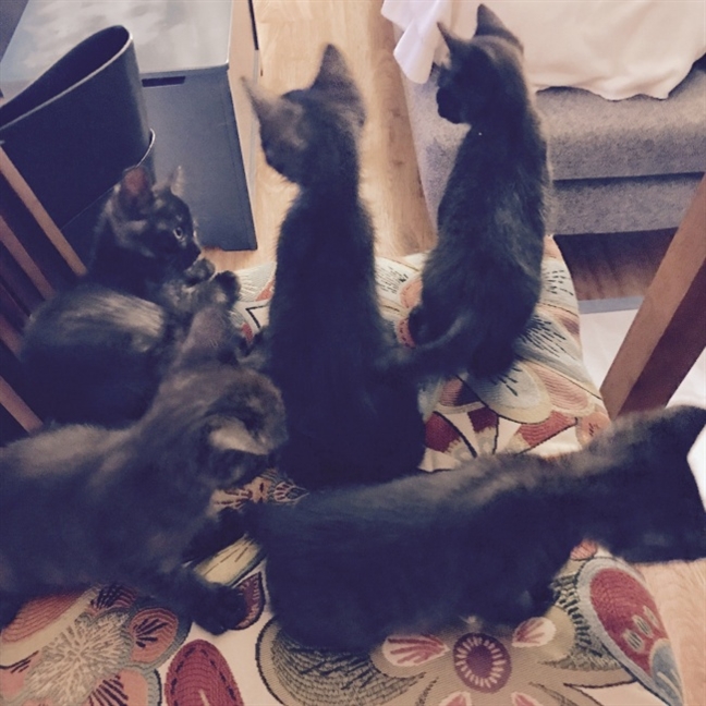 28 hình ảnh phản ánh chính xác bản chất của cuộc sống gia đình 28 hinh anh phan anh chinh xac ban chat cua cuoc song gia dinh