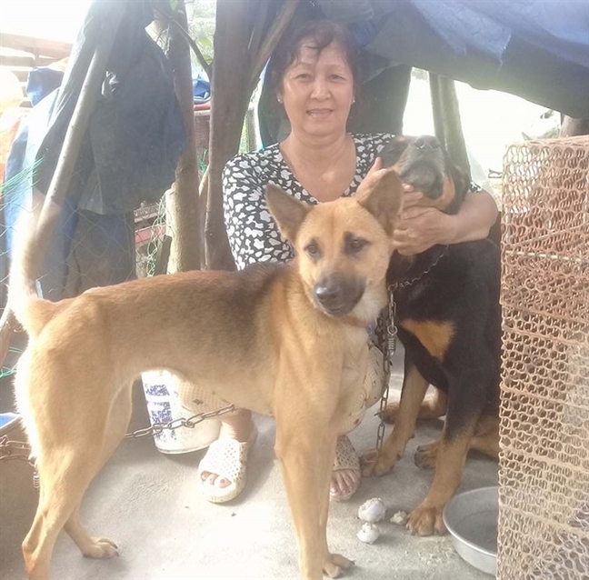 Người đàn bà cô đơn và đàn chó mồ côi Nguoi dan ba co don va dan cho mo coi