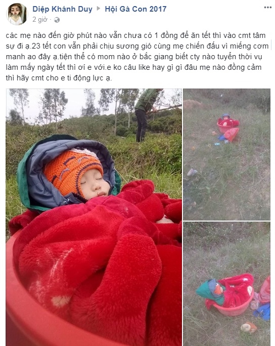 24 tết con vẫn phải ngủ ngoài đồng rét mướt đợi mẹ làm việc 24 tet con van phai ngu ngoai dong ret muot doi me lam viec