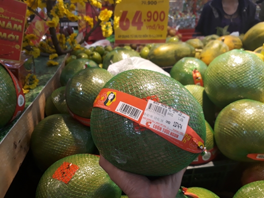 Bưởi da xanh ruột hồng hút hàng, giá hơn 100.000 đồng/trái Buoi da xanh ruot hong hut hang, gia hon 100.000 dong/trai