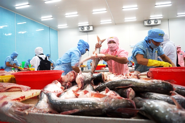 Nhiều rào cản, xuất khẩu nông sản vẫn kỳ vọng thắng lớn Nhieu rao can, xuat khau nong san van ky vong thang lon
