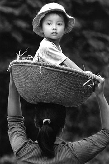 Nhớ cơm mẹ nấu Nho com me nau