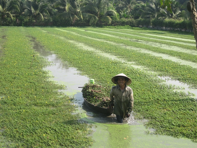 Bình đẳng vẫn chỉ là một ước mơ? Binh dang van chi la mot uoc mo?