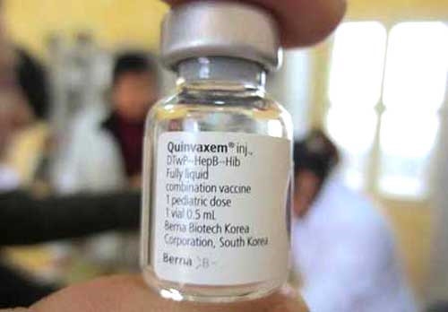 Vắc xin mới thay thế Quinvaxem sẽ tiêm miễn phí vào quý 2 năm nay Vac xin moi thay the Quinvaxem se tiem mien phi vao quy 2 nam nay