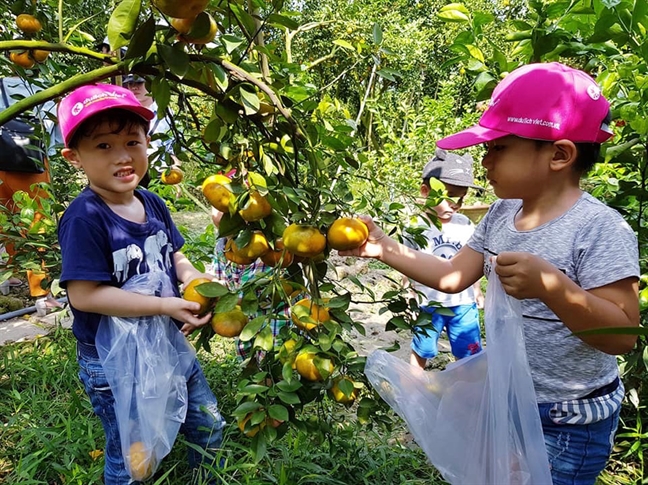 Giá tour du lịch sẽ bị đẩy lên theo vé, phí hàng không Gia tour du lich se bi day len theo ve, phi hang khong