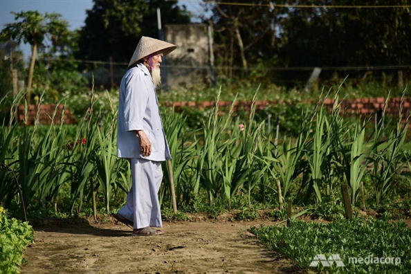 Báo nước ngoài ngưỡng mộ cặp vợ chồng già trồng rau sạch cho Hội An Bao nuoc ngoai nguong mo cap vo chong gia trong rau sach cho Hoi An