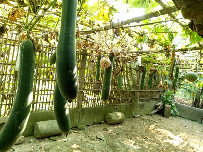 Hiểu cho mẹ nha em Hieu cho me nha em