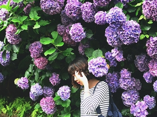 Lý do bạn nên du lịch Nhật Bản mùa hè này Ly do ban nen du lich Nhat Ban mua he nay