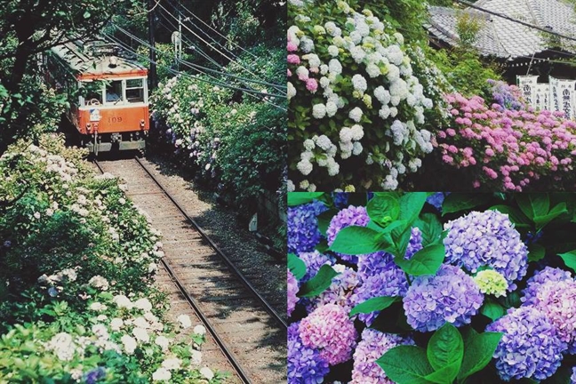 Lý do bạn nên du lịch Nhật Bản mùa hè này Ly do ban nen du lich Nhat Ban mua he nay