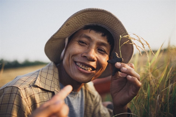 Bộ ảnh 'Mùa thu hoạch của ba và mẹ' khiến cộng đồng mạng ngẩn ngơ Bo anh 'Mua thu hoach cua ba va me' khien cong dong mang ngan ngo
