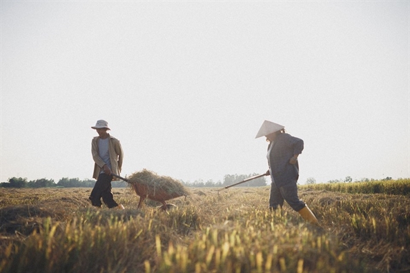 Bộ ảnh 'Mùa thu hoạch của ba và mẹ' khiến cộng đồng mạng ngẩn ngơ Bo anh 'Mua thu hoach cua ba va me' khien cong dong mang ngan ngo