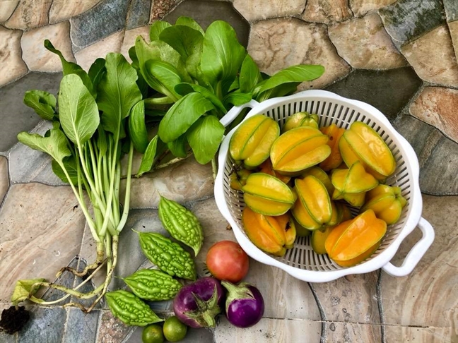 Vườn rau trên sân thượng xanh mê mẩn của bà mẹ hai con tại Sài Gòn Vuon rau tren san thuong xanh me man cua ba me hai con tai Sai Gon