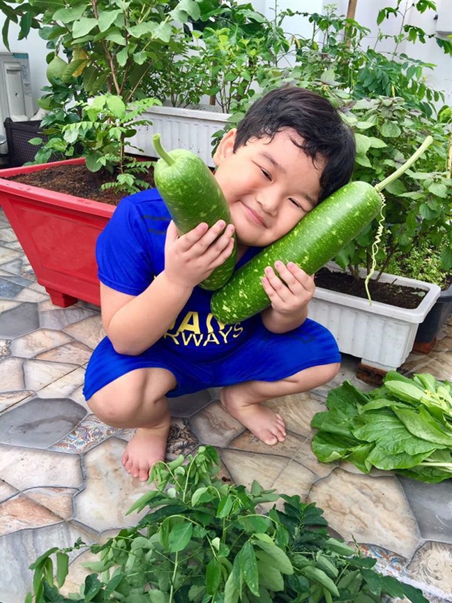 Vườn rau trên sân thượng xanh mê mẩn của bà mẹ hai con tại Sài Gòn Vuon rau tren san thuong xanh me man cua ba me hai con tai Sai Gon