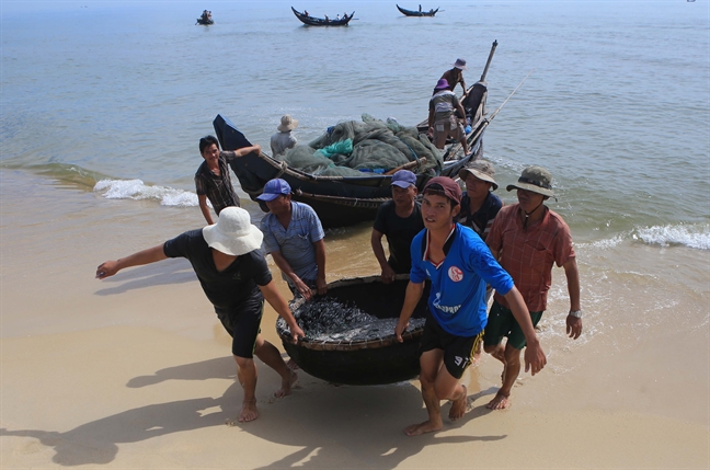Hải sản tầng đáy sau sự cố Formosa đã tuyệt đối an toàn Hai san tang day sau su co Formosa da tuyet doi an toan