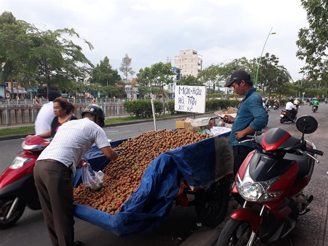 Mận hậu vào mùa, dân văn phòng ‘kiếm bộn’ Man hau vao mua, dan van phong ‘kiem bon’