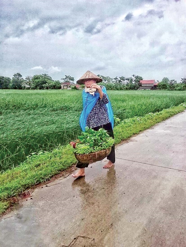 Mưa xót xa Mua xót xa