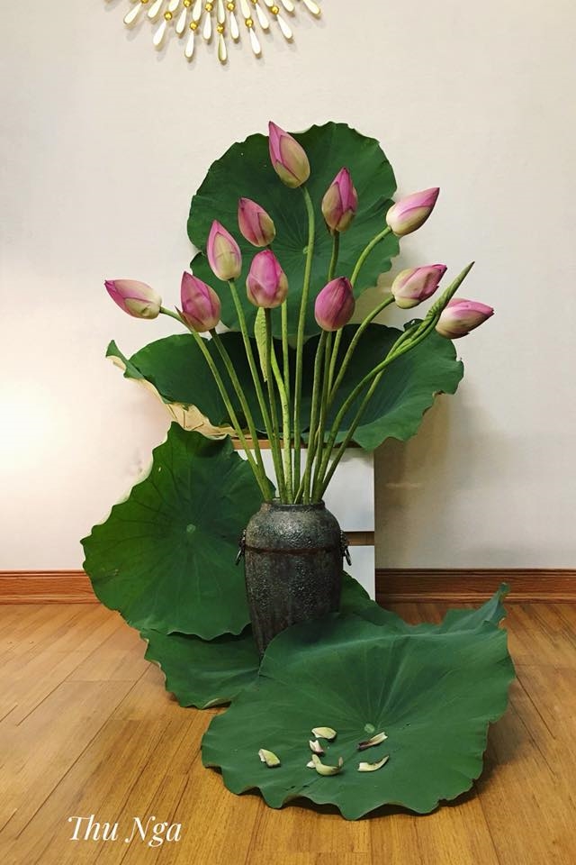 Kết quả hình ảnh cho bình hoa sen