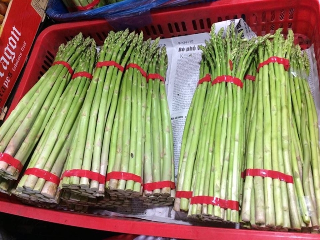 Image result for măng tây
