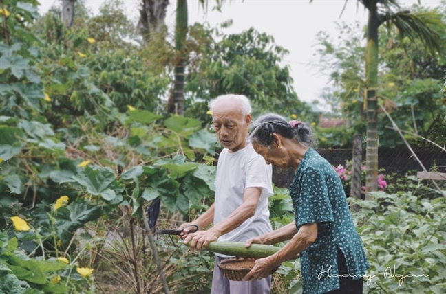 Ngày gia đình, chuyện tình già của 'ông bà anh' khiến cộng đồng mạng phát sốt Ngay gia dinh, chuyen tinh gia cua 'ong ba anh' khien cong dong mang phat sot