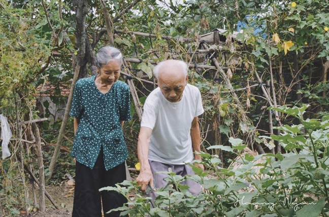 Ngày gia đình, chuyện tình già của 'ông bà anh' khiến cộng đồng mạng phát sốt Ngay gia dinh, chuyen tinh gia cua 'ong ba anh' khien cong dong mang phat sot