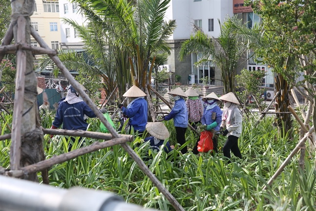 Những phụ nữ mưu sinh dưới cái nắng kỷ lục Nhung phu nu muu sinh duoi cai nang ky luc
