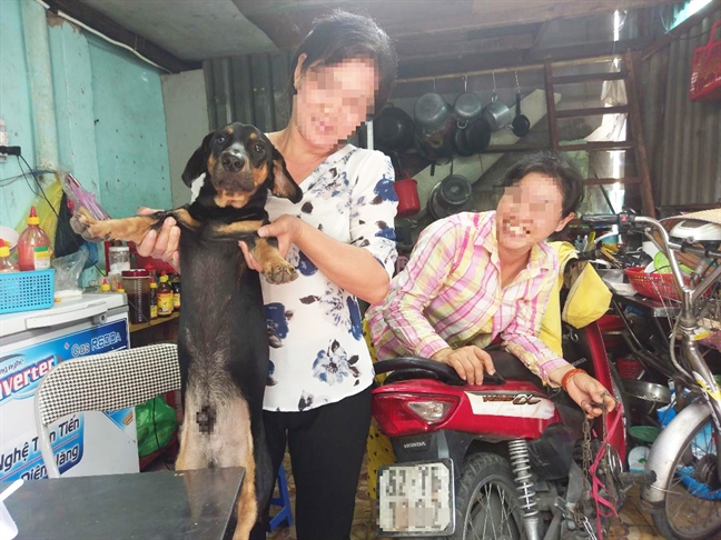 'Cẩu tặc' lộng hành, khổ chủ phải mất tiền triệu chuộc chó 'Cau tac' long hanh, kho chu phai mat tien trieu chuoc cho