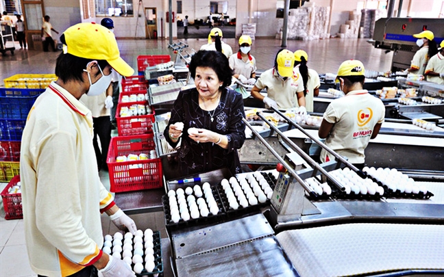 Doanh nghiệp Việt nên 'sòng phẳng' với các quỹ đầu tư Doanh nghiep Viet nen 'song phang' voi cac quy dau tu