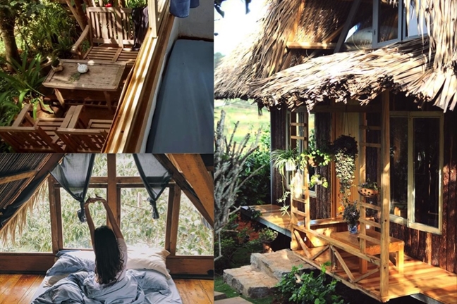 Trải nghiệm Đà Lạt 2 ngày thú vị của cô sinh viên Hà Nội Trai nghiem Da Lat 2 ngay thu vi cua co sinh vien Ha Noi