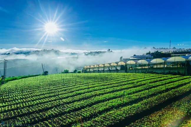 Trải nghiệm Đà Lạt 2 ngày thú vị của cô sinh viên Hà Nội Trai nghiem Da Lat 2 ngay thu vi cua co sinh vien Ha Noi