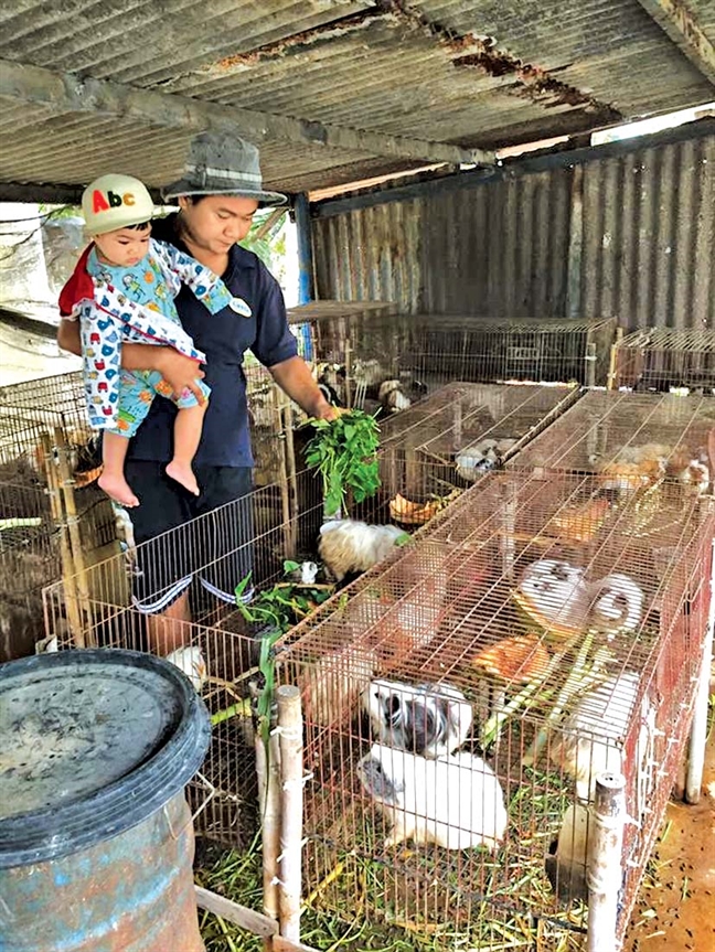Quang Thảo, Thanh Tuấn mê trồng cây, tắm heo Quang Thao, Thanh Tuan me trong cay, tam heo