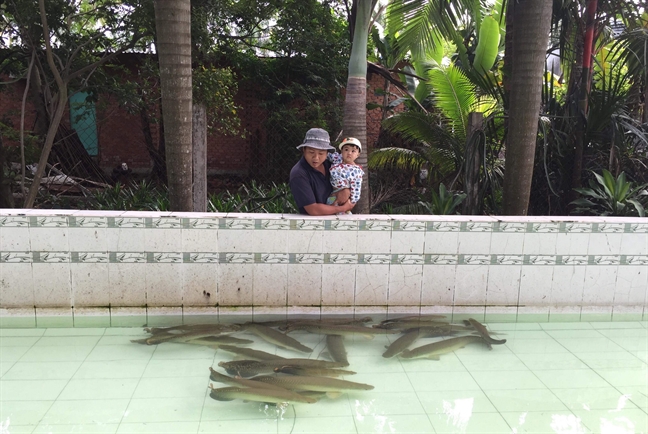 Quang Thảo, Thanh Tuấn mê trồng cây, tắm heo Quang Thao, Thanh Tuan me trong cay, tam heo
