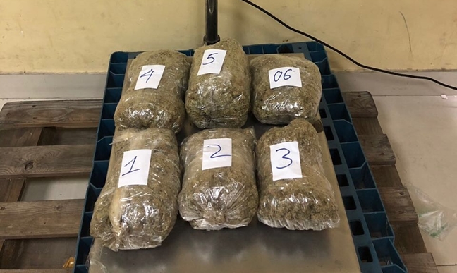 Triệt phá đường dây vận chuyển 57 kg cần sa từ Mỹ về Việt Nam Triet pha duong day van chuyen 57 kg can sa tu My ve Viet Nam