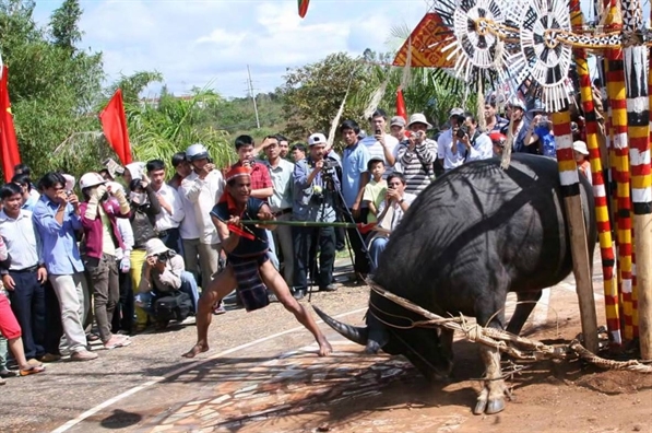 Yêu cầu tạm dừng việc thu tiền dân để tổ chức lễ hội đâm trâu ở Huế Yeu cau tam dung viec thu tien dan de to chuc le hoi dam trau o Hue