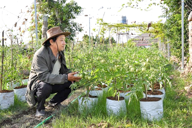 Bài 2: Ông Khải làm gạo hữu cơ trên khu rừng cháy Bai 2: Ong Khai lam gao huu co tren khu rung chay