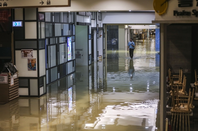 Người Việt ở Hong Kong và trải nghiệm chưa từng có trong tâm bão Mangkhut Nguoi Viet o Hong Kong va trai nghiem chua tung co trong tam bao Mangkhut