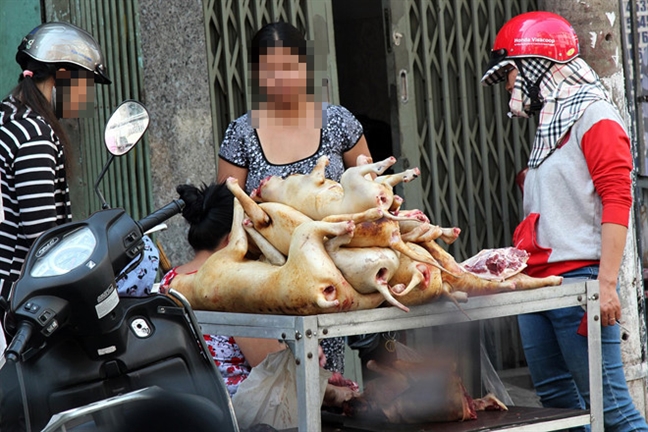 Cần quản lý nguồn thực phẩm 'bất hợp pháp' Can quan ly nguon thuc pham 'bat hop phap'