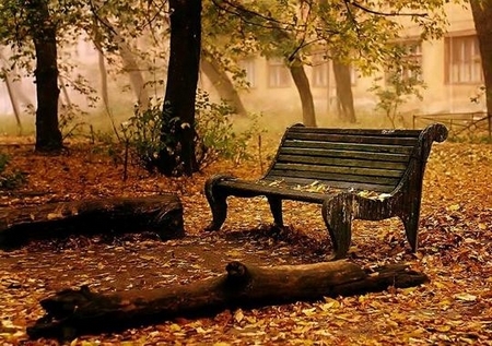 Đưa mẹ đi phố lồng đèn Dua me di pho long den