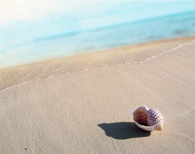 Gặp lại người xưa, đừng dại mà nói gì Gap lai nguoi xua, dung dai ma noi gi