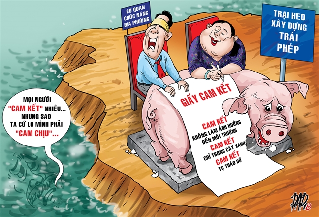 Lá phiếu cho công bộc thứ 49! La phieu cho cong boc thu 49!